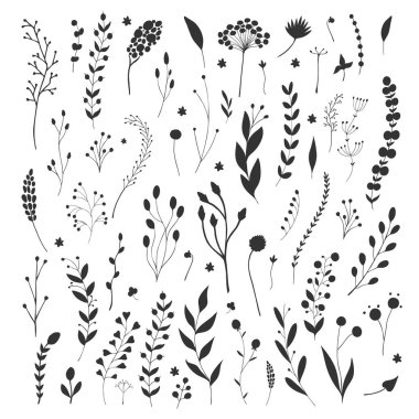 Çeşitli el yapımı çiçek siluetleri olan çiçek ve bitki koleksiyonu. Botanik elementler beyaz arka planda izole edildi. Çiçekli yatak. Botanik seti