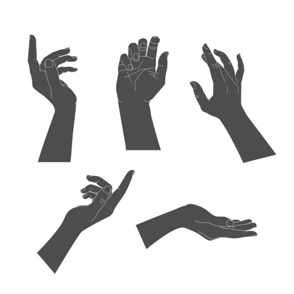 Set Menschlicher Hände Mit Verschiedenen Anmutigen Gesten Handsilhouetten Isoliert Auf — Stockvektor