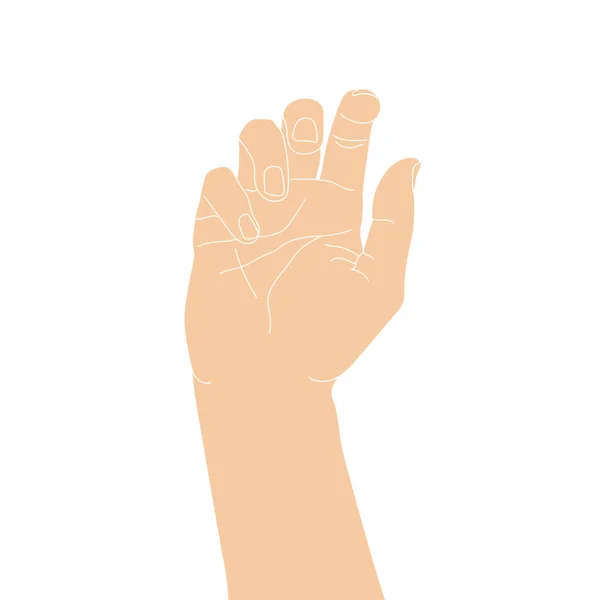 Handgezeichnete Hand Isoliert Auf Weißem Hintergrund Handgezeichnete Skizze Menschlicher Handflächen — Stockvektor