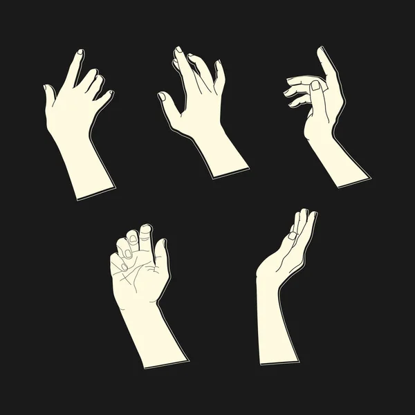 Set Menschlicher Hände Mit Verschiedenen Anmutigen Gesten Helle Handsilhouetten Auf — Stockvektor