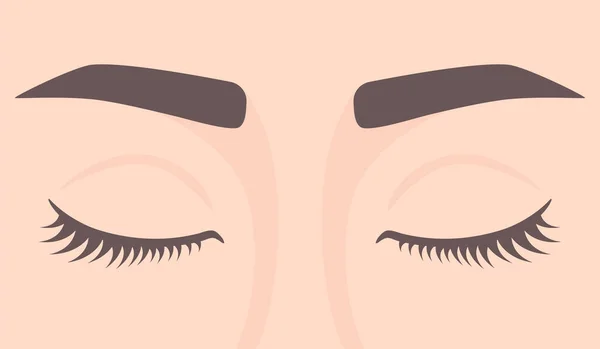 Woman Eyes Closed Closed Eyes Lashes Eyebrows Vector Illustration — Stock Vector