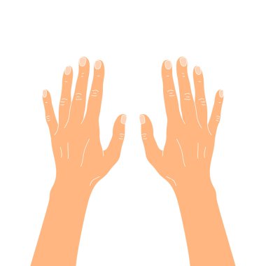 Kollar ileri. El arkası. Vektör illüstrasyonu