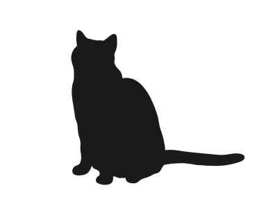 Oturan kedi silueti beyaz arka planda izole edilmiş. Kedi gölgesi. Vektör illüstrasyonu