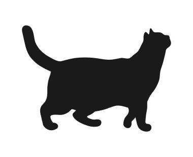 Ayakta duran kedi silueti beyaz arka planda izole edilmiş. Kedi yukarı bakıyor. Kedi pozu. Vektör illüstrasyonu
