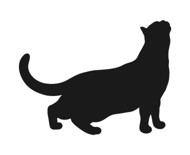 Ayakta duran kedi silueti beyaz arka planda izole edilmiş. Kedi uzanıyor. Kedi pozu. Vektör illüstrasyonu