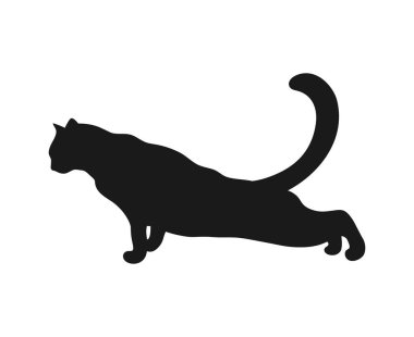 Esneyen kedi silueti beyaz arka planda izole edilmiş. Kedi gölgesi. Vektör illüstrasyonu