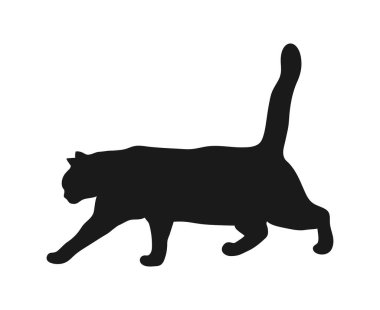Beyaz arka planda izole edilmiş yürüyen kedi silueti. Hayvan gölgesi. Kedi pozu. Vektör illüstrasyonu