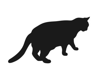 Ayakta duran kedi silueti beyaz arka planda izole edilmiş. Kedi gölgesi. Vektör illüstrasyonu