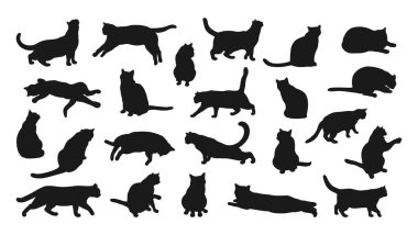 Beyaz arka planda izole edilmiş kedi siluetleri koleksiyonu. Farklı kedi pozları. Kedi yalan söylüyor, oturuyor, oynuyor, yürüyor, ayakta duruyor, esniyor. Vektör illüstrasyonu