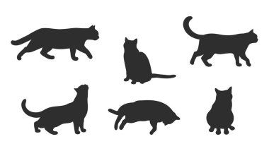 Beyaz arka planda izole edilmiş kedi siluetleri. Farklı kedi pozları. Kedi yalan söylüyor, oturuyor, yürüyor, ayakta duruyor. Vektör illüstrasyonu