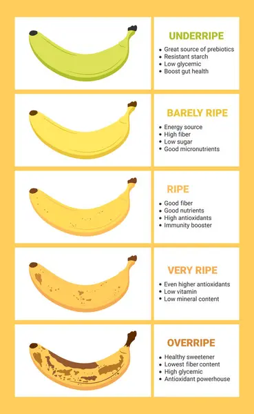 stock vector Banana ripeness chart. Stages of banana fruit ripeness with infographic. From green underripe banana to overripe banana with brown spots. Vector illustration