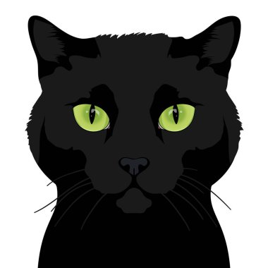 Siyah kedi beyaz arka planda izole edilmiş. Kedi suratı. Yeşil gözlü kara kedi. Gerçekçi bir tarz. Etiketler, tişörtler, kupalar, tasarım