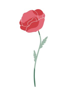 Farklı renklerde boyanmış gelincik çiçeği silueti. Vektör illüstrasyonu