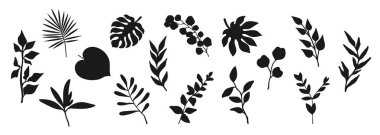 Bitki siluetleri koleksiyonu. Beyaz arka planda ayrıştırılmış dallar, yapraklar ve botanik elementler. Vektör illüstrasyonu