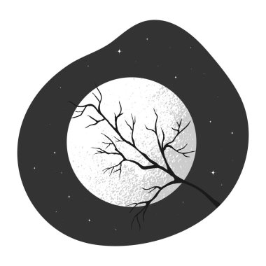 Gece gökyüzünde ay ve ağaç dalları. Vektör illüstrasyonu.