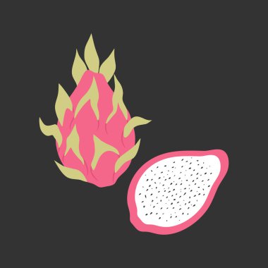 Pitahaya veya ejderha meyvesi. Çizgi film meyvesi. Vektör illüstrasyonu