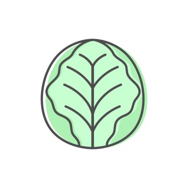 Kabak çizgisi simgesi beyaz arkaplanda izole edildi. Basit sebze ikonu sembolü. Vektör illüstrasyonu