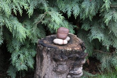 Yeşil ahşap bir arka planda bir kütükte taş bileşimi