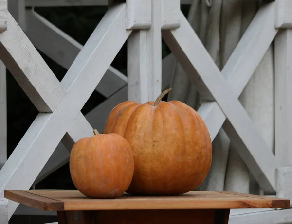 Halloween Dýně Dřevěném Pozadí — Stock fotografie