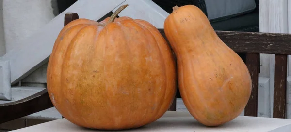Pumpkin Market Halloween — Stock Photo, Image