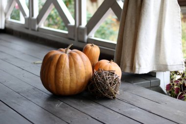 Bahçedeki balkabakları. sonbahar arkaplanı.