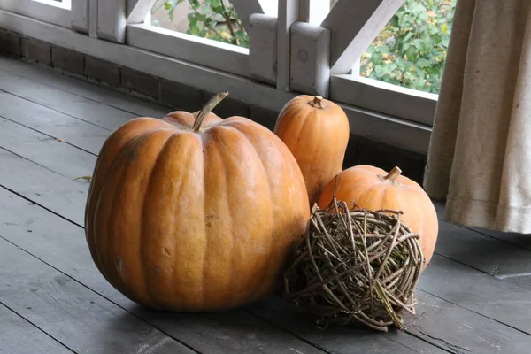 Dynie Białą Żółtą Czarno Pomarańczową Dynią Jesienią Koncepcja Halloween — Zdjęcie stockowe