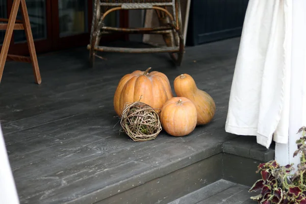 美しいパターンの装飾鍋で秋の装飾 — ストック写真
