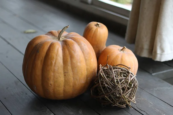 Autumn Harvest Concept Pumpkin Pumpkins Straw — Stock Photo, Image