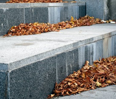 Şehirdeki kuru akçaağaç yaprakları yığını.