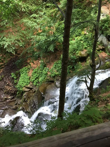 stock image beautiful waterfall in the forest