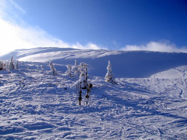 Winterlandschap Met Besneeuwde Bergen — Stockfoto