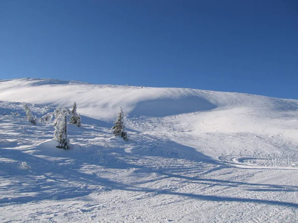 雪をかぶった山々と冬の風景 — ストック写真