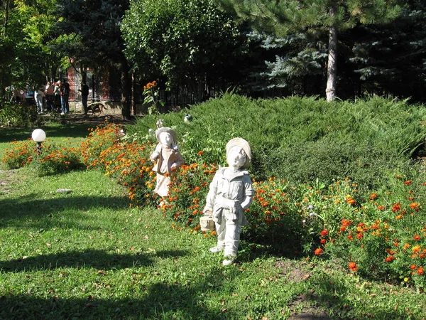 Hermoso Jardín Parque — Foto de Stock