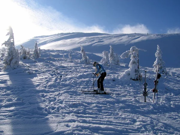 雪をかぶった山々と冬の風景 — ストック写真