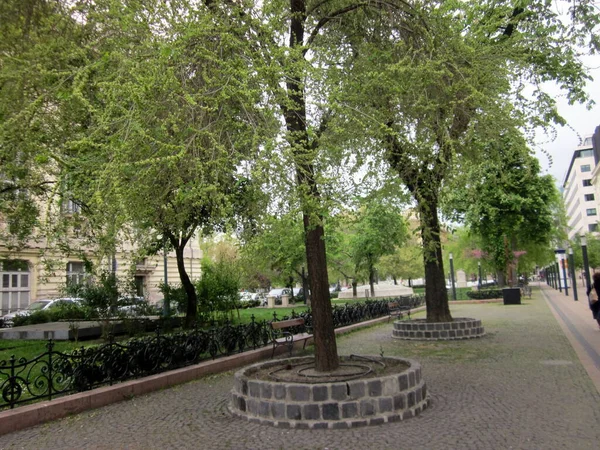 Ville Parc Été — Photo