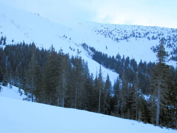 Prachtig Winterlandschap Met Besneeuwde Bomen — Stockfoto