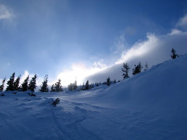 Hermoso Paisaje Invierno Con Árboles Cubiertos Nieve — Foto de Stock