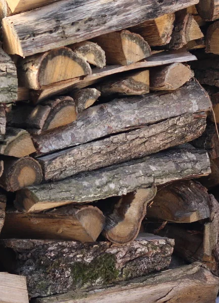Dřevěné Klády Lese — Stock fotografie