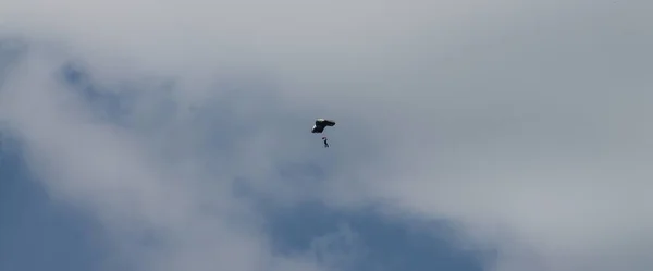 Летающий Человек Парашютом Небе — стоковое фото