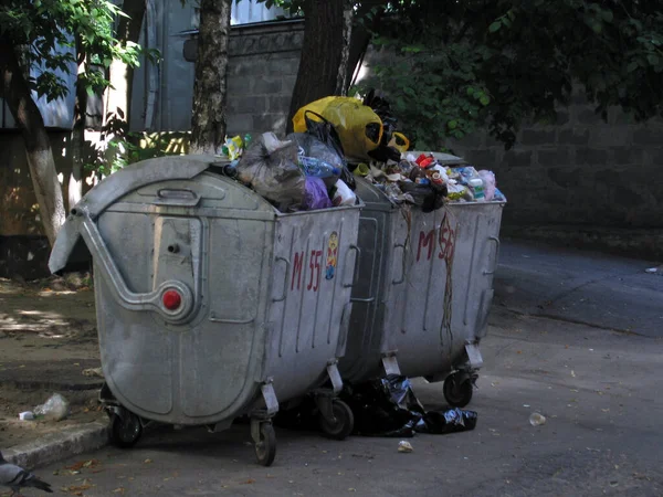 Garbage Bin Park — Stock Photo, Image