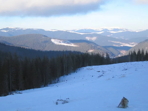 Hermoso Paisaje Con Árboles Cubiertos Nieve Las Montañas — Foto de Stock