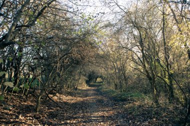 Ülkemizdeki mistik doğal tünel
