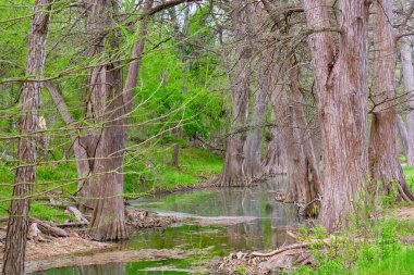 Van Ormy Texas 'taki Medina Nehri bulutlu bir sabah