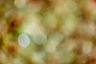 Yeşil ve kahverengi renkli Bokeh ile soyut arkaplan