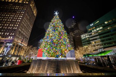 Noel 'de, Detroit, Michigan' daki Campus Martius Park 'taki Noel Ağacı' nda. Yağmurlu bir günde gece çekildi. Park çeşmesinin üstünde dev bir Noel Ağacı var. Ağaçtaki ışıklar görülebilir..