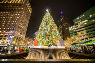 Noel 'de, Detroit, Michigan' daki Campus Martius Park 'taki Noel Ağacı' nda. Yağmurlu bir günde gece çekildi. Park çeşmesinin üstünde dev bir Noel Ağacı var. Ağaçtaki ışıklar görülebilir..