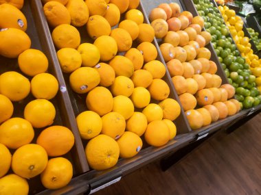 Naval oranges on display in a grocery store. Limes and lemons can be seen in the background.