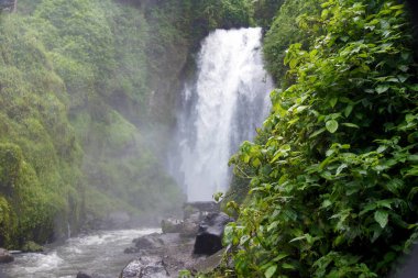 Peguche şelalesi 18 metre yüksekliğinde güzel bir şelaledir, okaliptüs ormanında harika bir yolu vardır. Ayrıca, yerel bir tören merasim merkeziydi.