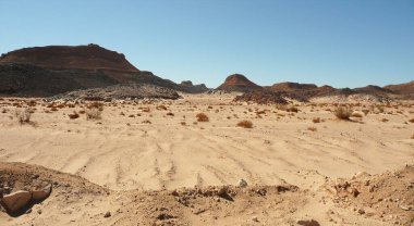 Sina 'nın cazibesi efsanevidir. Görkemli manzaraları, gelişen bitki örtüsü ve faunası, ve eşsiz tarihi, yüzyılların geçişi, milyonlarca insanın hayal gücünün ürünüdür.