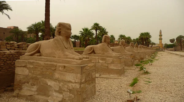 Luxorský Chrám Který Nachází Srdci Starověkých Théb Byl Podstatě Postaven — Stock fotografie
